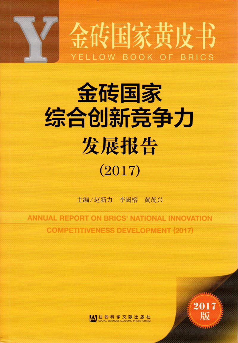 大鸡巴日肉肉视频金砖国家综合创新竞争力发展报告（2017）